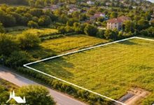 تصویر زمین سرسبز در شمال ایران با ویوی دریا