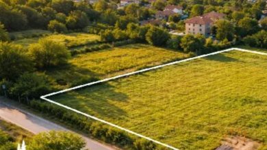 تصویر زمین سرسبز در شمال ایران با ویوی دریا