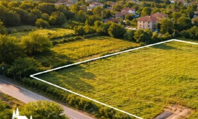 تصویر زمین سرسبز در شمال ایران با ویوی دریا