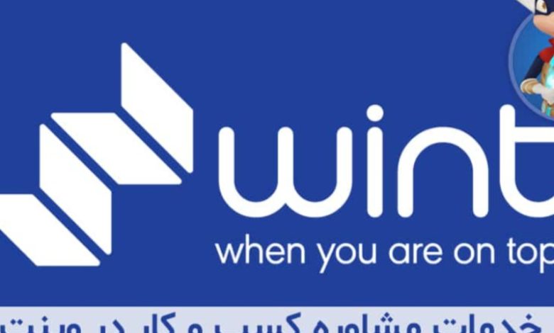 خدمات مشاوره کسب و کار وینت