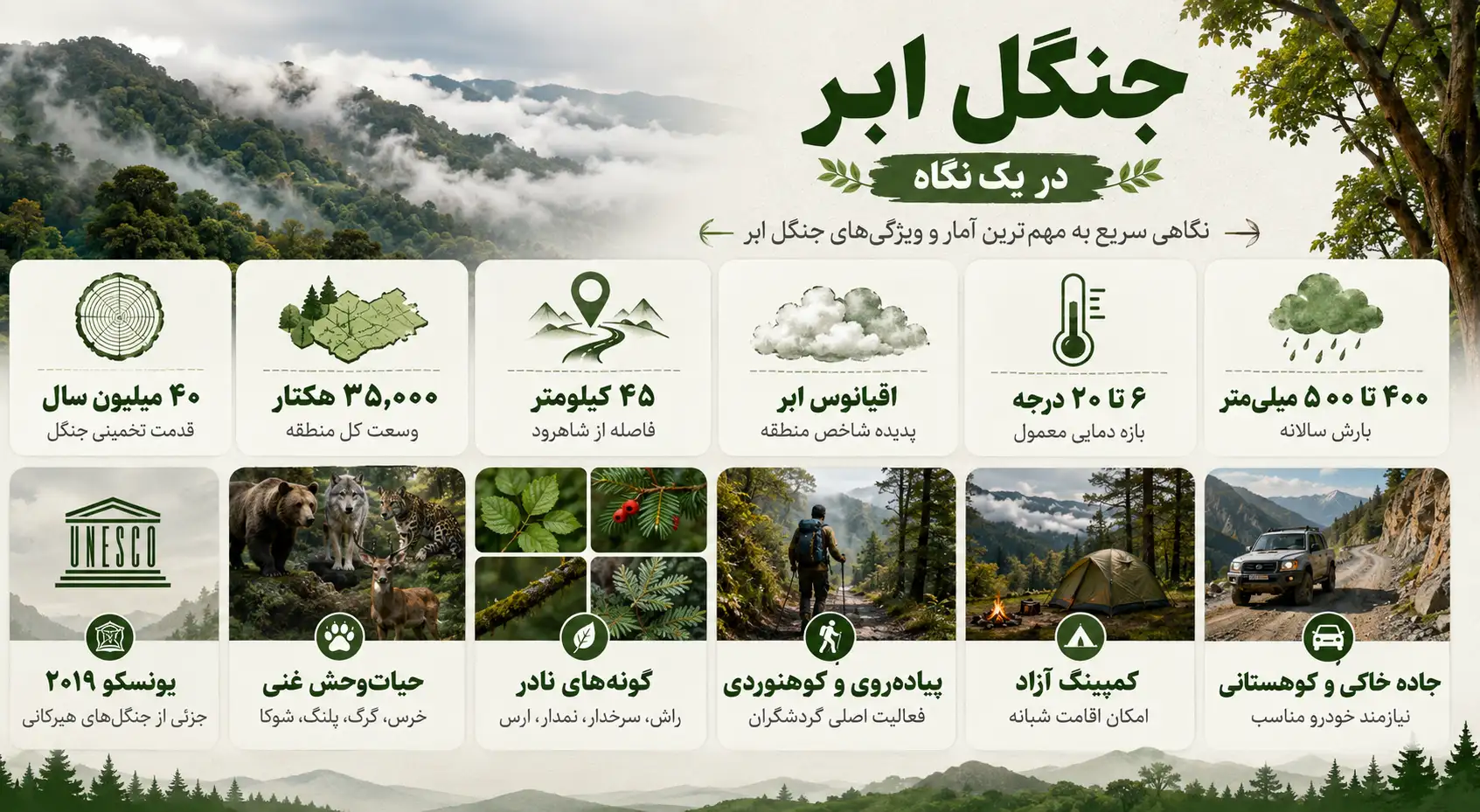 جنگل ابردر یک نگاه
